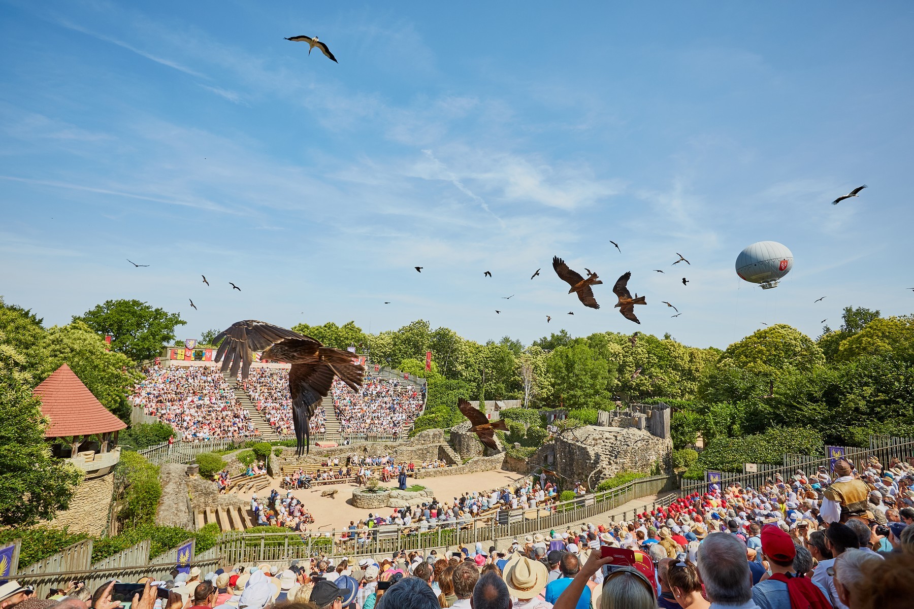 Spectacle du Puy du Fou avec des oiseaux qui volent majestueusement au dessus des spectateurs