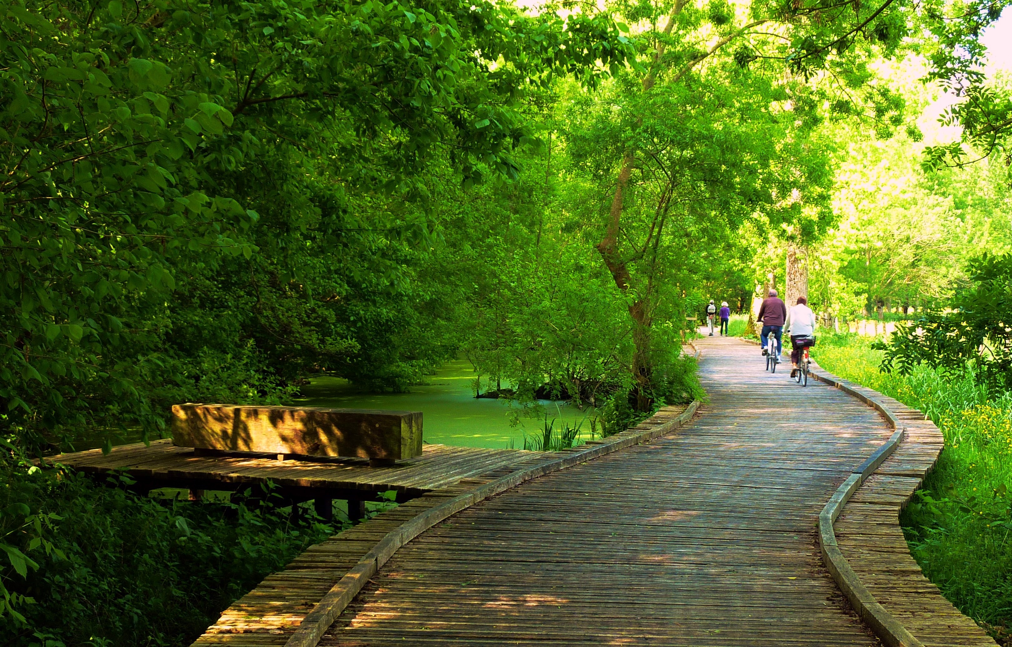 Personnes faisant du vélo sur les pistes cyclables sur pilotis au dessus du Marais Poitevin, en pleine nature