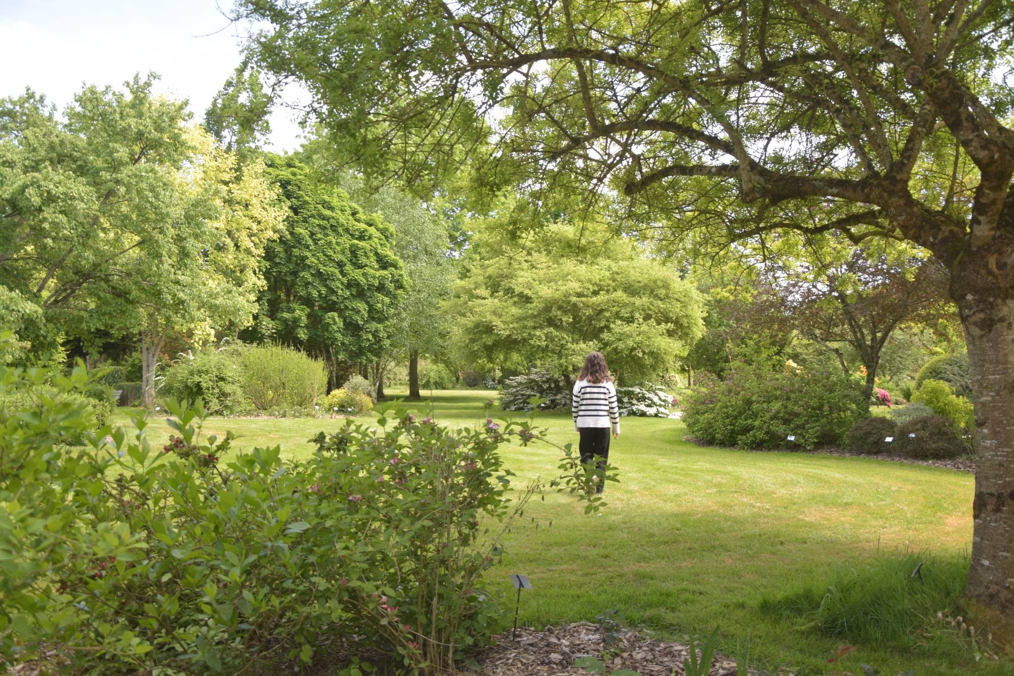 Promenade paisible dans un jardin verdoyant aux Jardins de Brocéliande