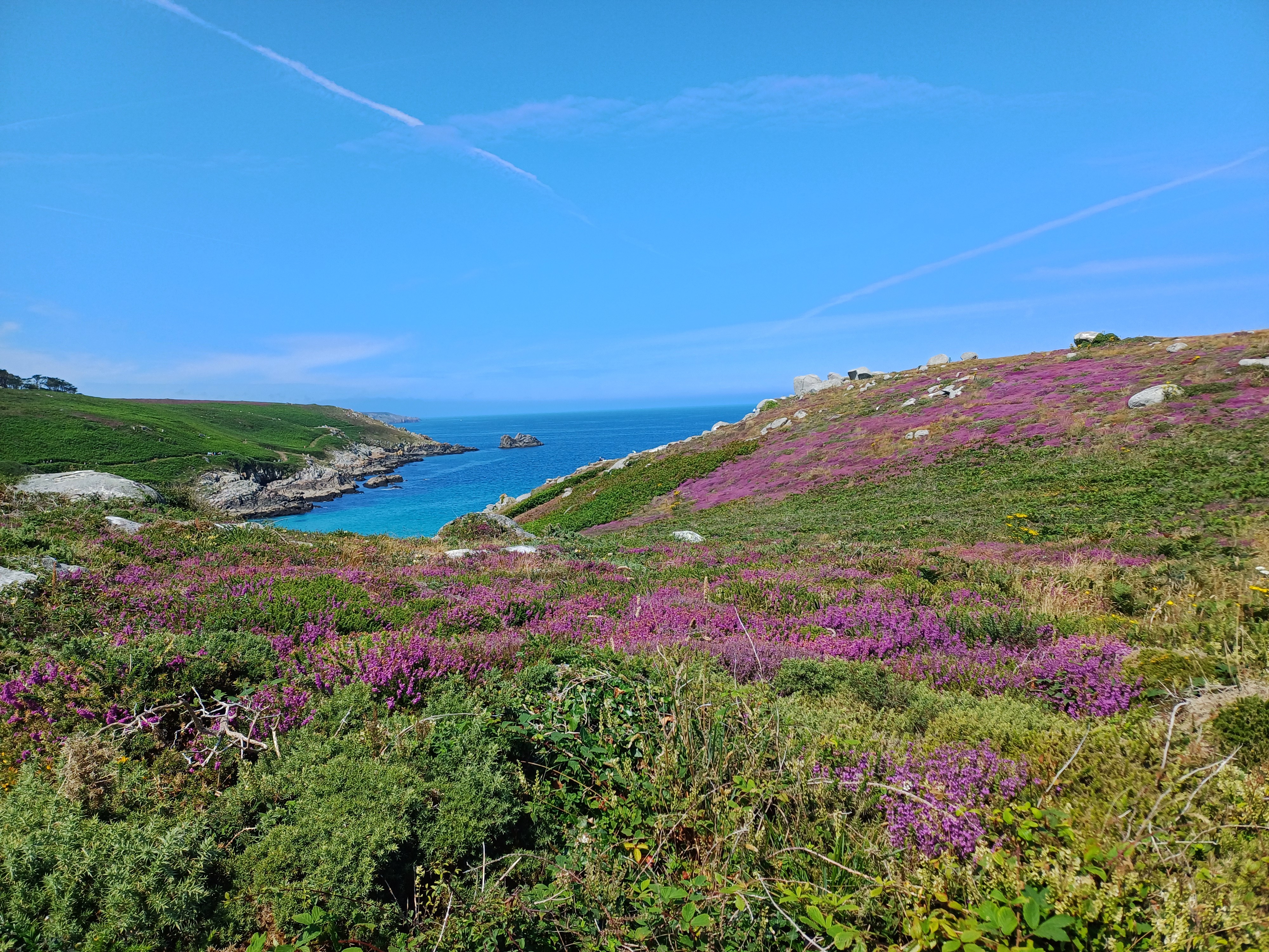Falaises avec végétation, landes, bruyères, mer turquoise