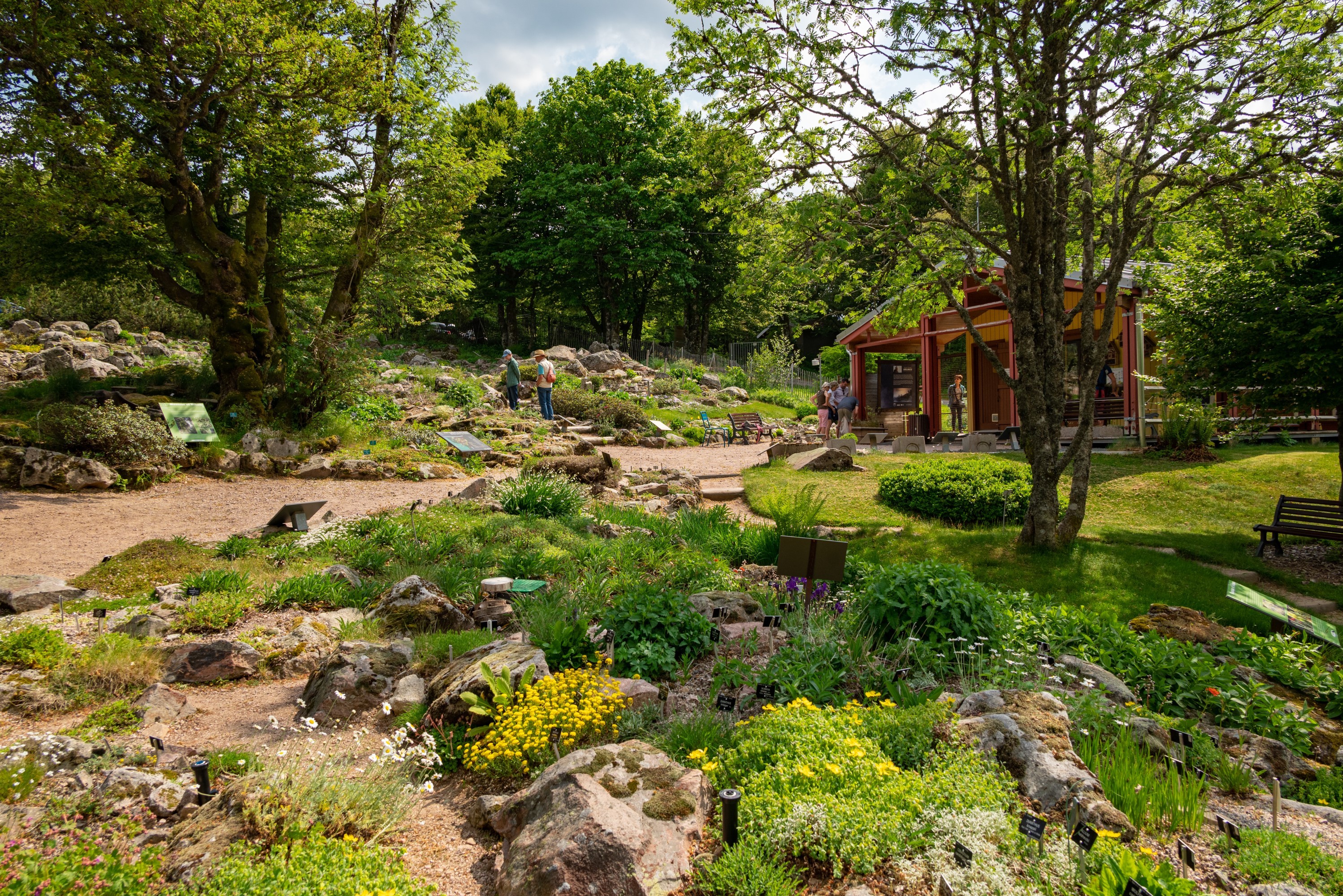 Vue depuis les sentiers du jardin d’altitude sur toutes les sortes de plantes.