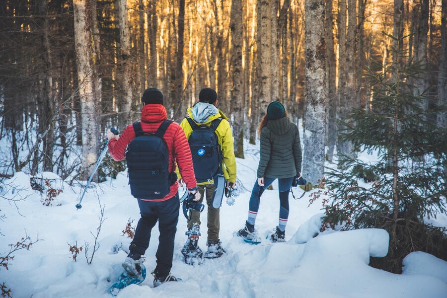 Hohneck_©ART GE - Pierre Defontaine 