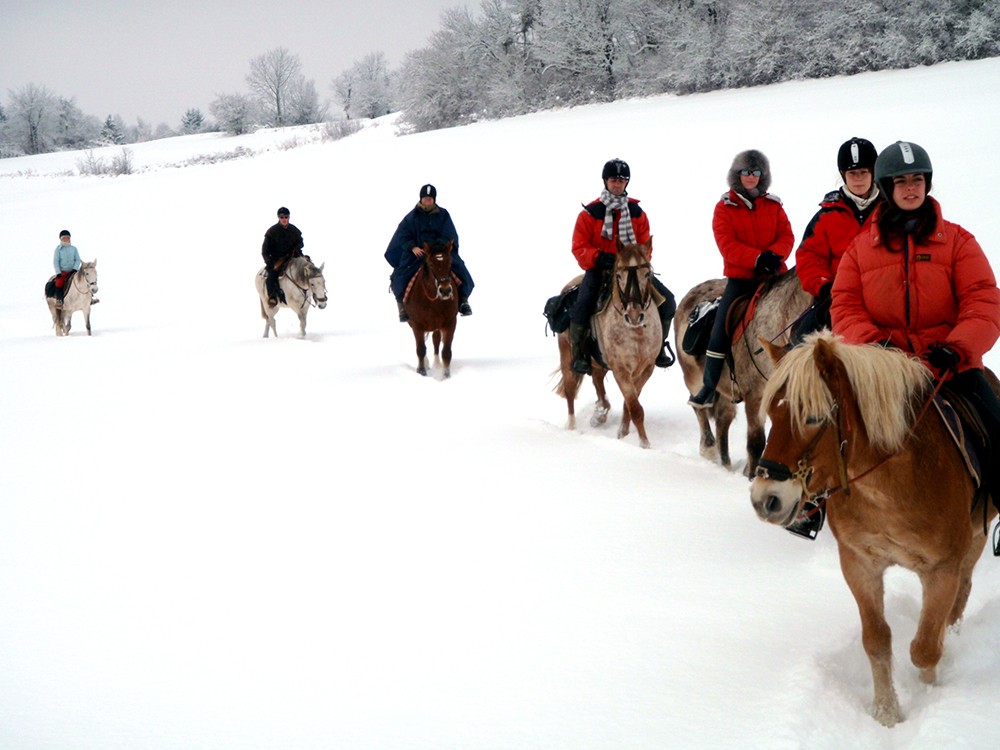 Groupe de cavaliers explorant un paysage enneigé à cheval lors d'une randonnée hivernale