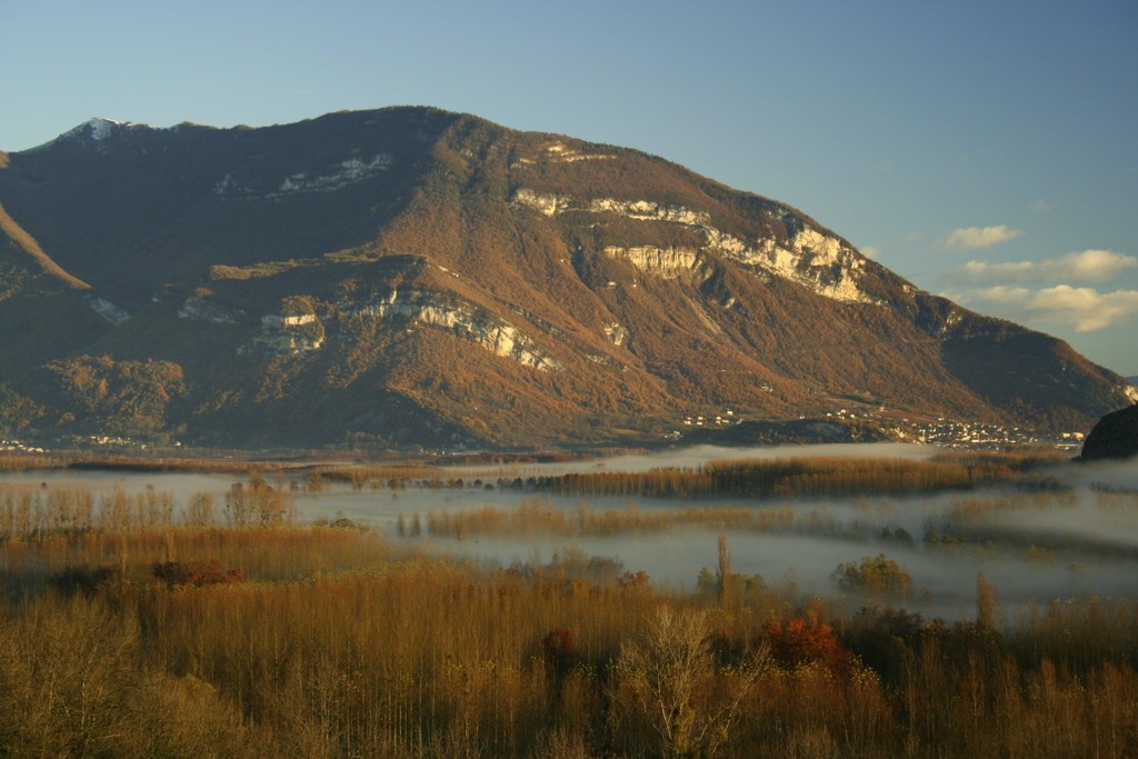 Brume sur le marais de Lavours avec en arrière plan le Grand Colombier sous une luminosité d’un couché de soleil 