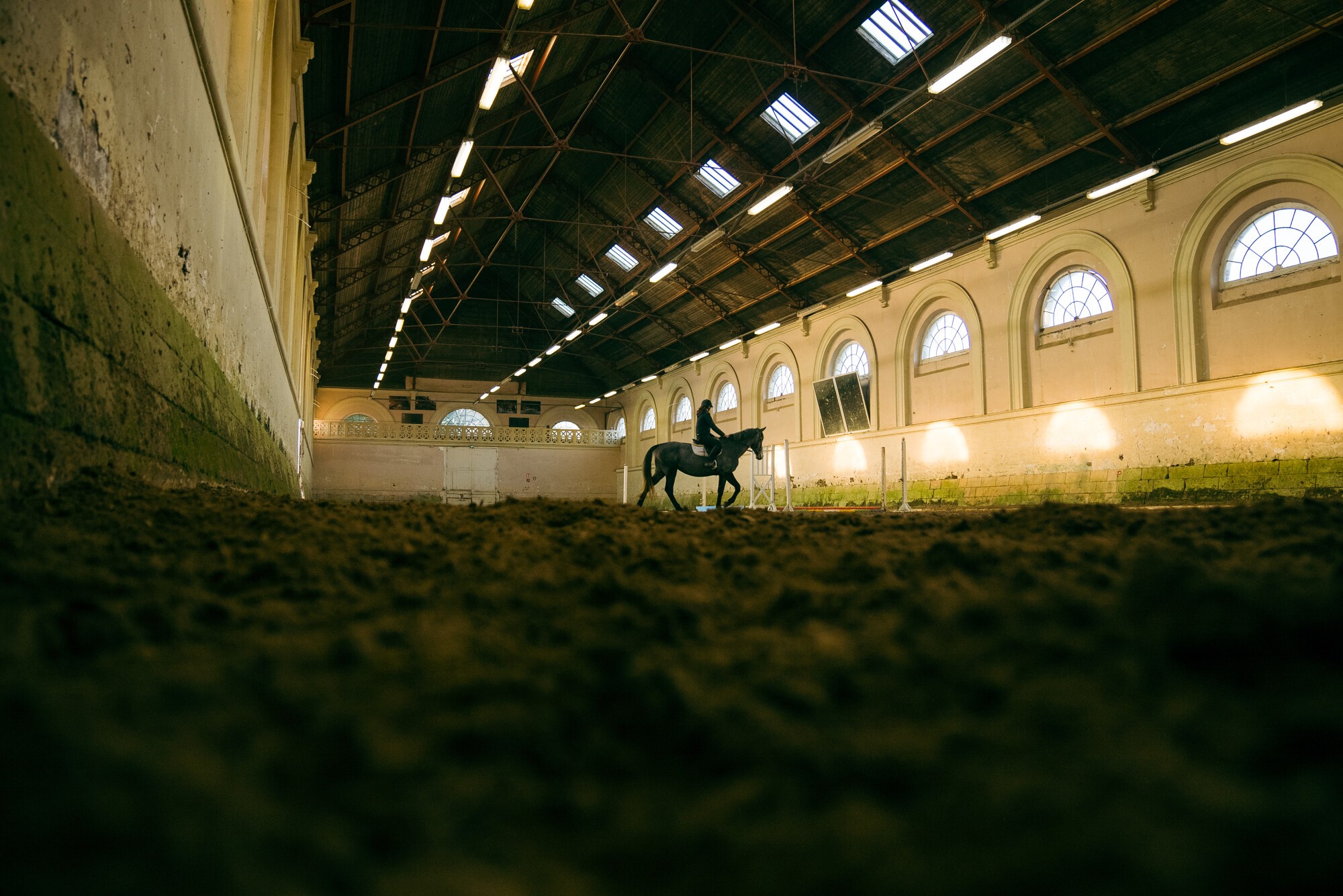 Haras de Saint-Lô, cheval monté au travail dans manège historique,jeux lumière naturel.