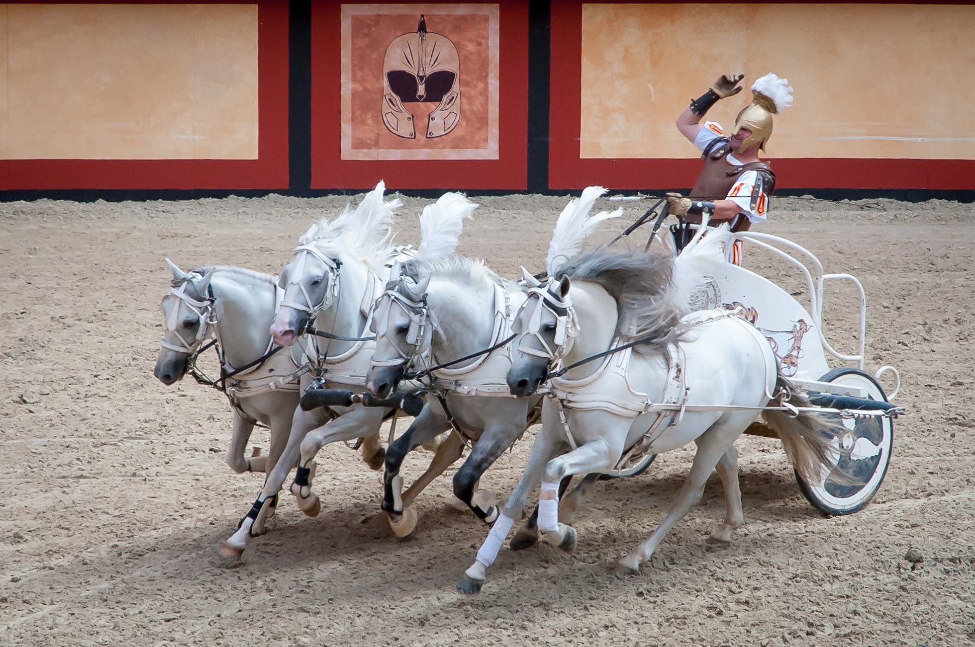 Spectacle avec chevaux blancs : Le signe du Triomphe.