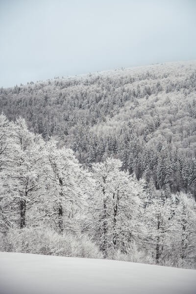 Rando raquettes dans les Vosges_©ART GE - Pierre Defontaine