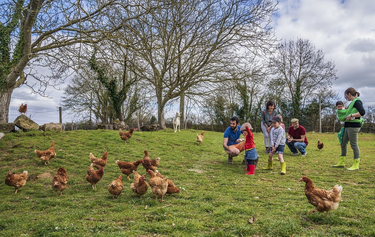 Famille en train de découvrir la vie à la ferme avec des poules dans un champ verdoyant