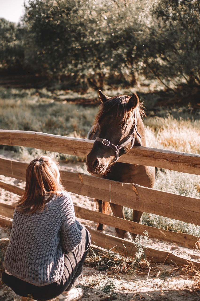Femme accroupie devant un cheval noir derrière une clôture en bois.