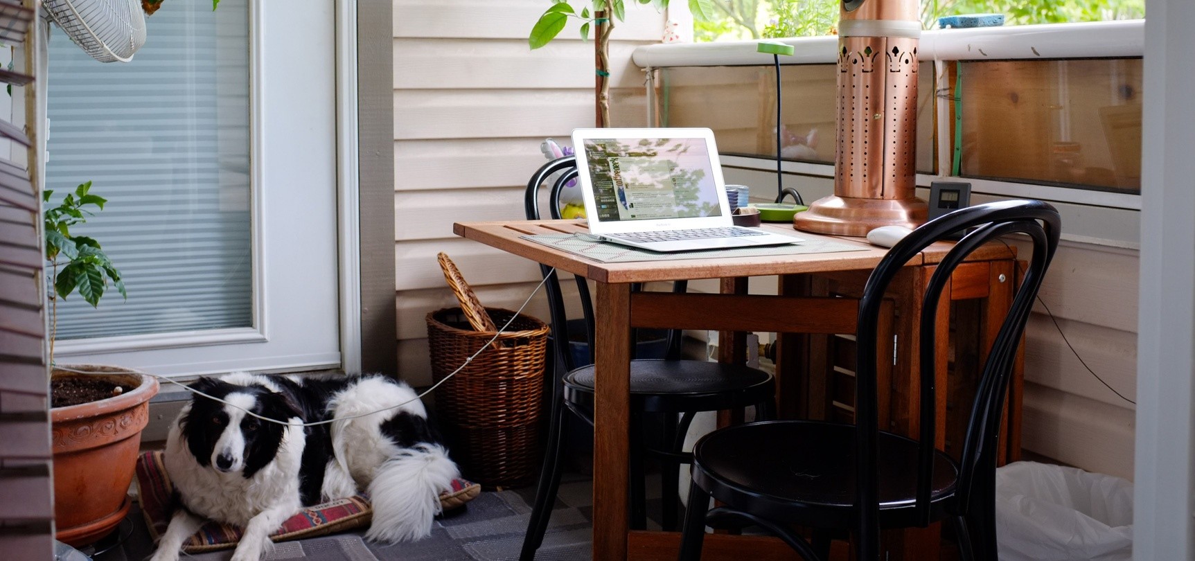 Petit bureau en bois sur une terrasse avec un ordinateur portable et un chien couché à côté, entouré de plantes.
