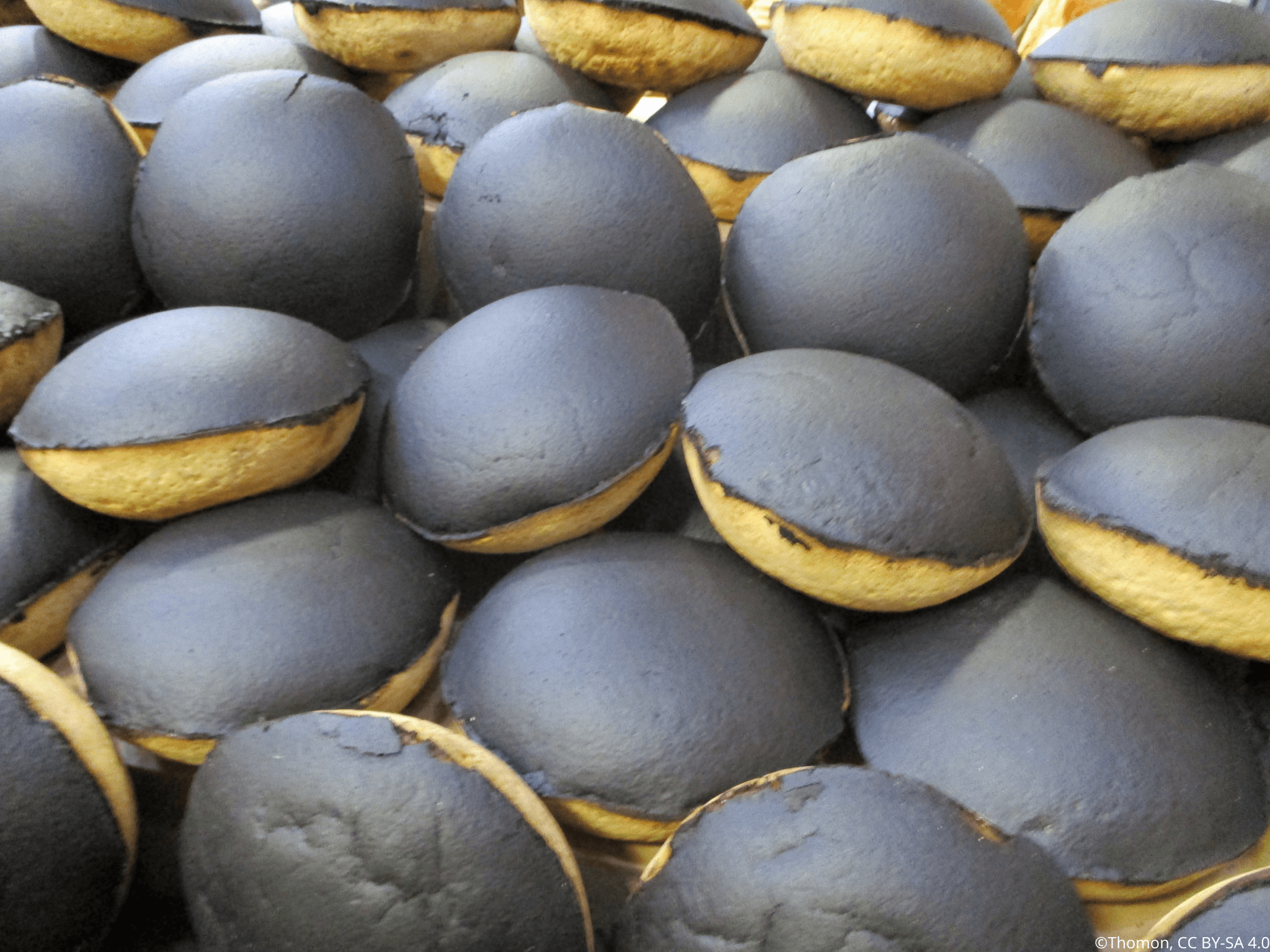 Tourteaux fromagers, spécialité du Poitou, fait à base de fromage de chèvre et reconnu pour sa croute noir brulée sur le dessus.