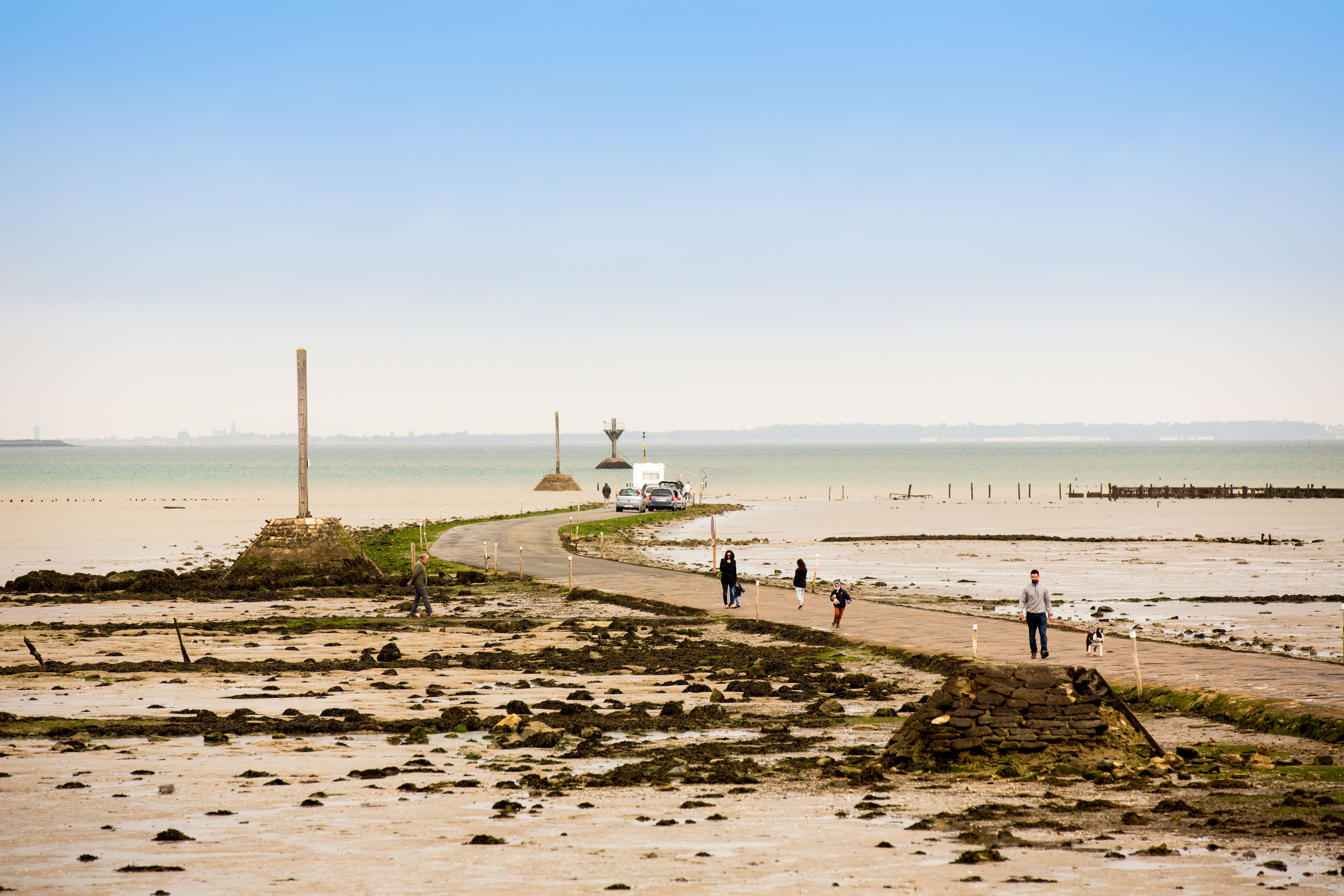 Personnes se promenant et pratiquant la pêche à pied et voitures empruntant le célèbre passage du Gois, route submersible qui relie l’île au continent lors de la marée basse.