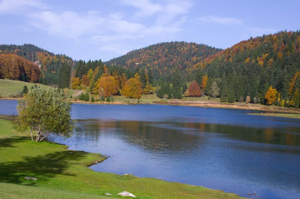 Lac Genin entouré d'arbres aux couleurs vives d'automne, paysage bucolique du Haut-Bugey.