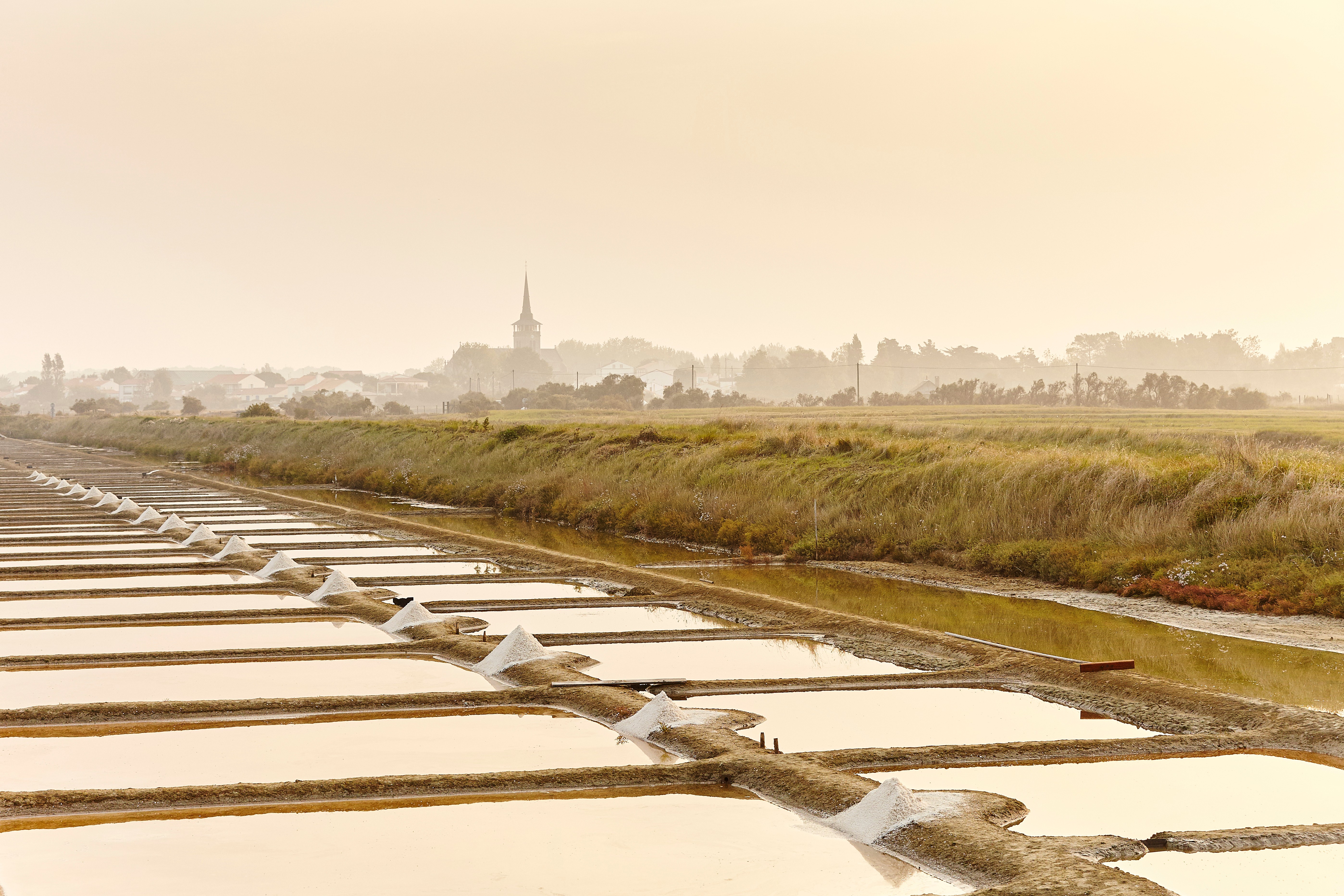 Marais salants de l’île d’Olonne en pleine nature préservée avec au loin un clocher, sous un ciel rosée. 