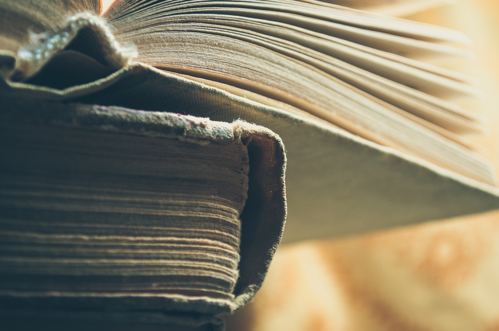 Image par LoggaWiggler 