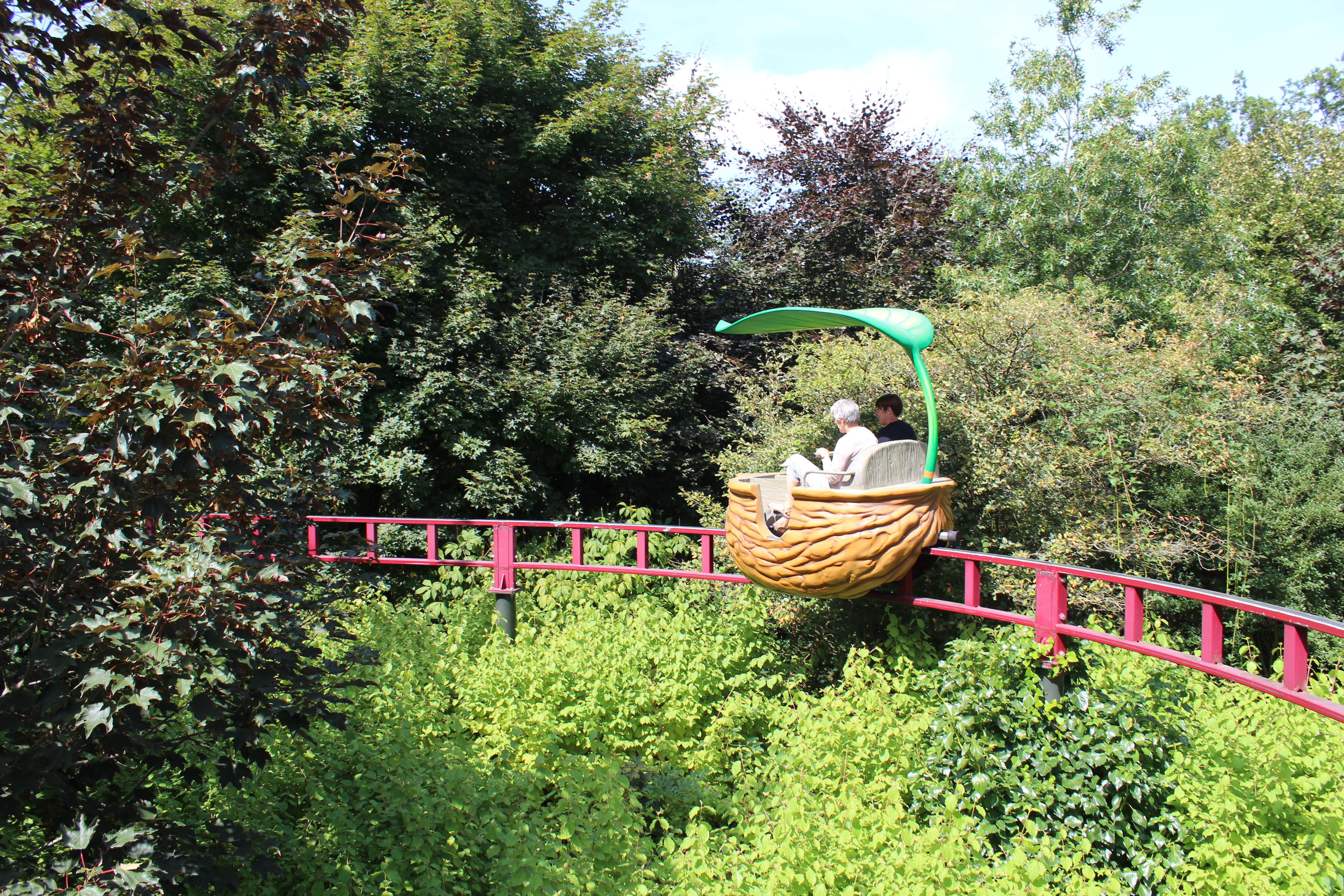 Rail et wagon noix au dessus des arbres, à Terra Botanica.