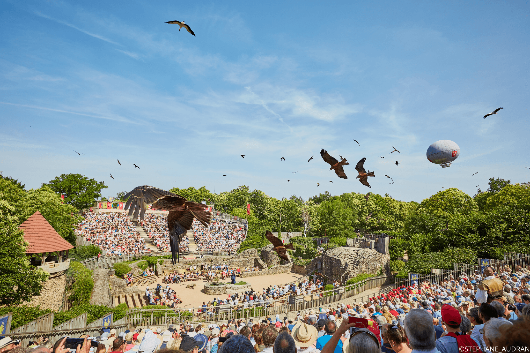 Spectacle du Puy du Fou avec des oiseaux qui volent majestueusement au dessus des spectateurs