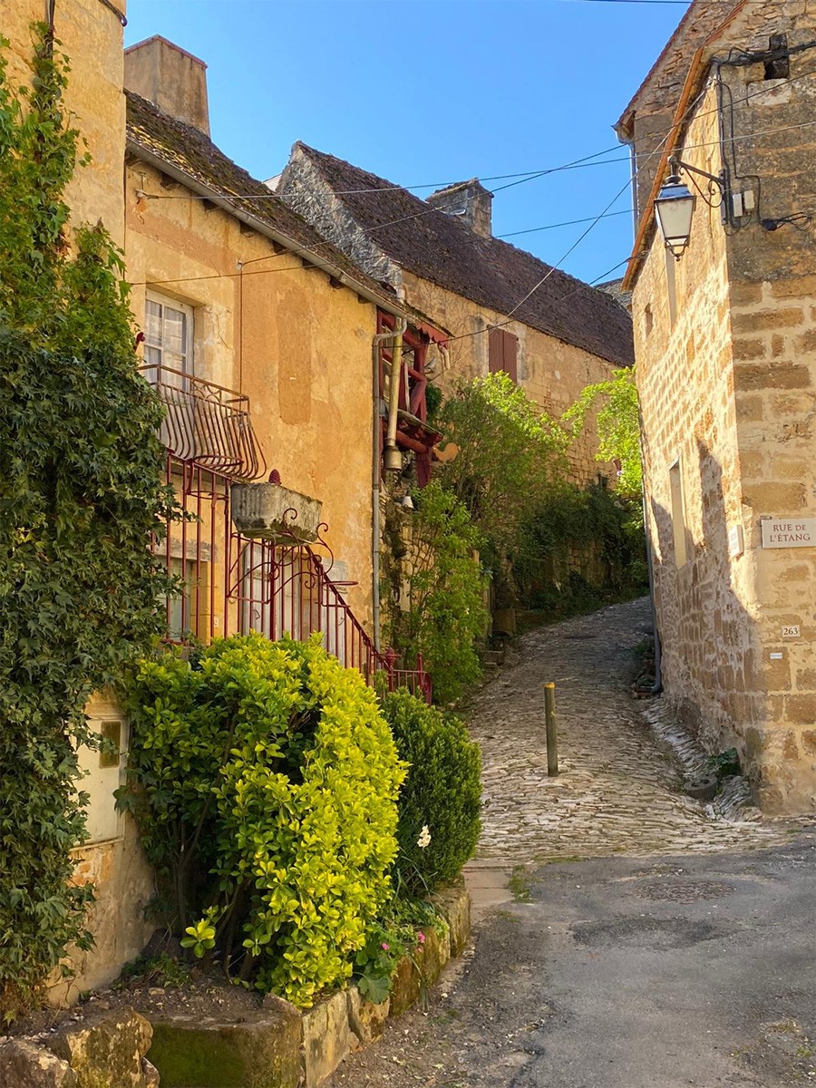 Rue pavée et maisons en pierre à Meyrals, typiques de l’architecture du Périgord Noir, bordées de végétation sous un ciel bleu.