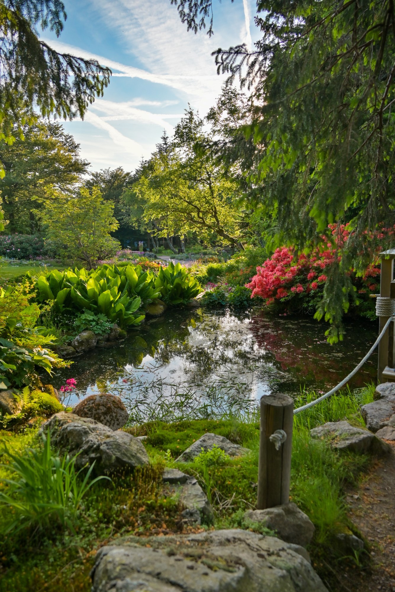 Le secteur du Japon et ses jolies fleurs du Jardin d’altitude.