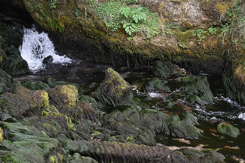 Gros plan sur la cascade “La Fontaine de Fontestorbes”.