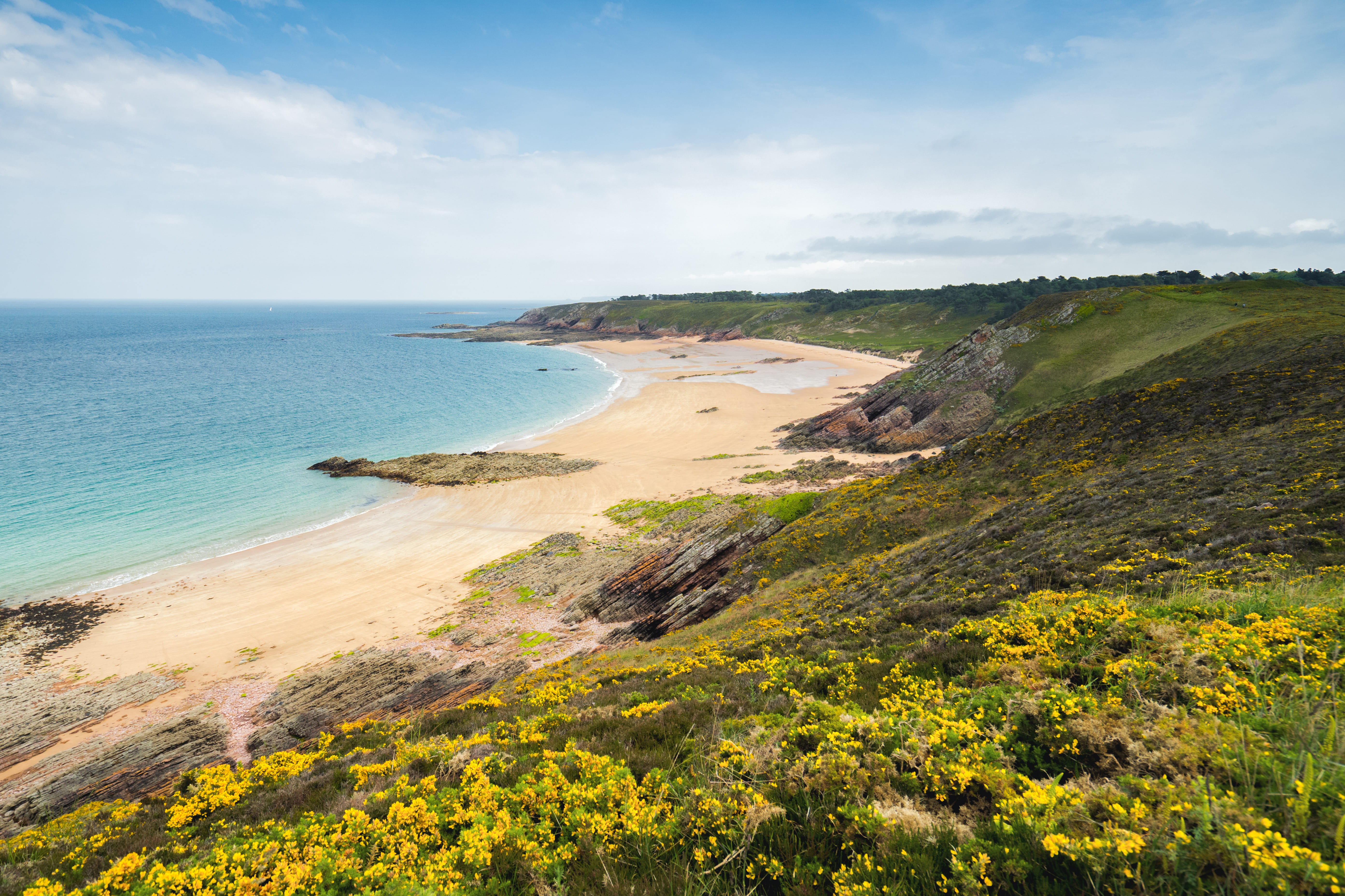  Plage de Lourtuais sur le Cap d’Erquy, mer turquoise et ciel bleu, où fleurissent ajoncs et bruyères sauvages