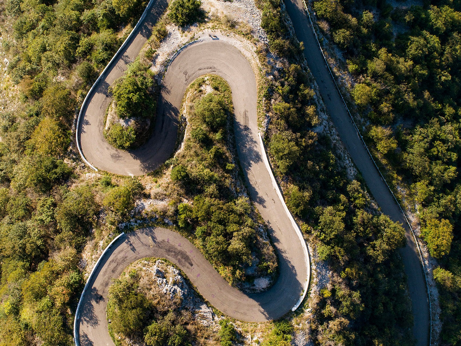 Le grand colombier