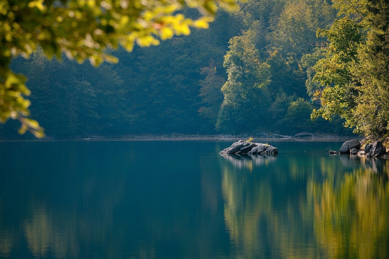 Lac paisible entouré de forêt dense avec un rocher au centre, sous un ciel clair.
