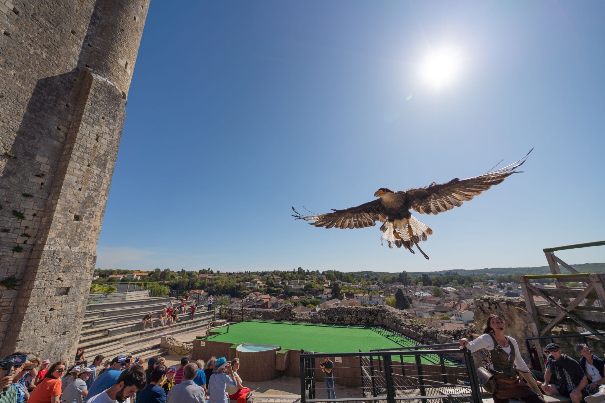 Un aigle qui vole dans le ciel ensoleillé durant le spectacle les Géants du Ciel