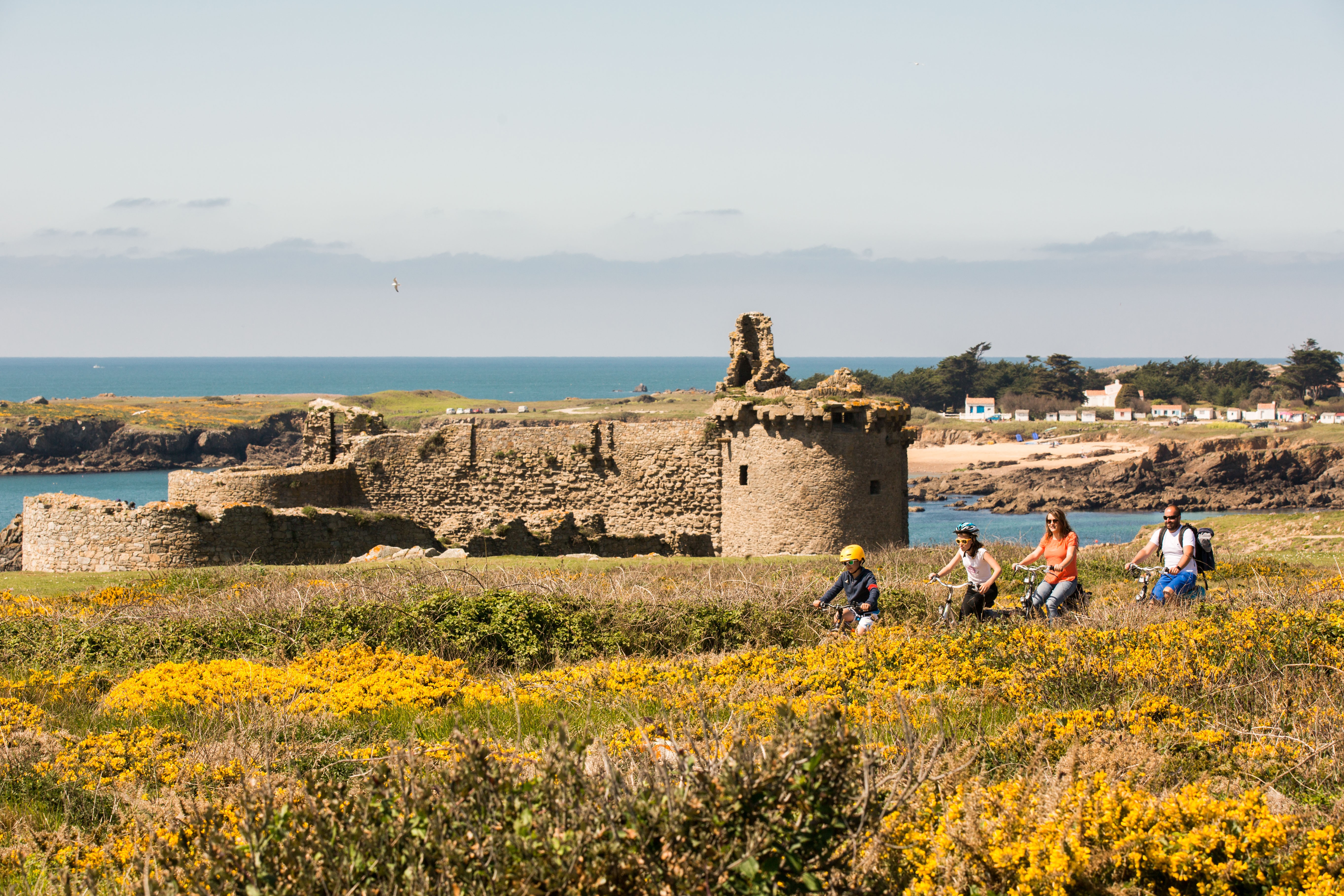 Vieux château devant une mer bleue et personnes à vélos se promenant depuis les pistes cyclables à travers la faune et ses fleurs sauvages jaunes.