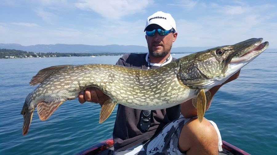 Pêcheur tenant un grand brochet sur un lac, sous un ciel ensoleillé