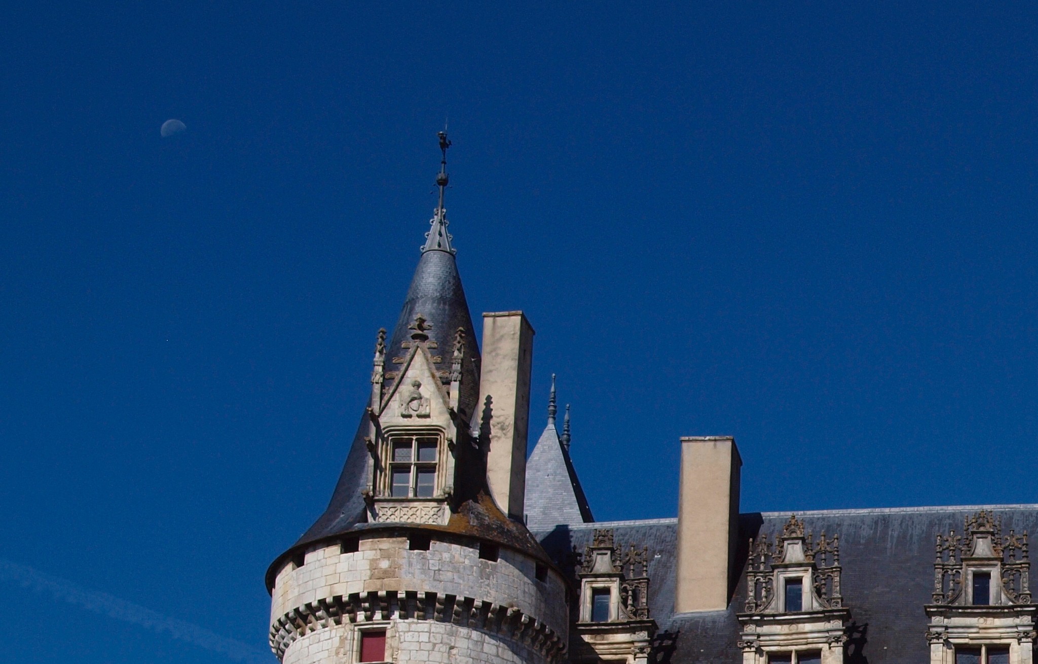 Personnes faisant du vélo sur les pistes cyclables sur pilotis au dessus du Marais Poitevin, en pleine nature