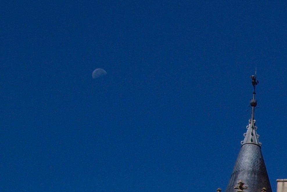 From the sky, a view of the Thouet river surrounded by forest