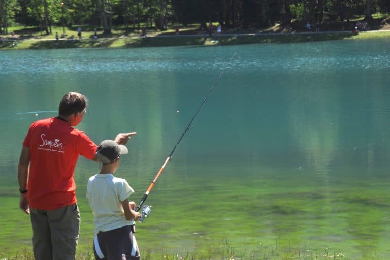 Adulte montrant à un enfant comment pêcher au bord d'un lac paisible, entouré de nature verdoyante