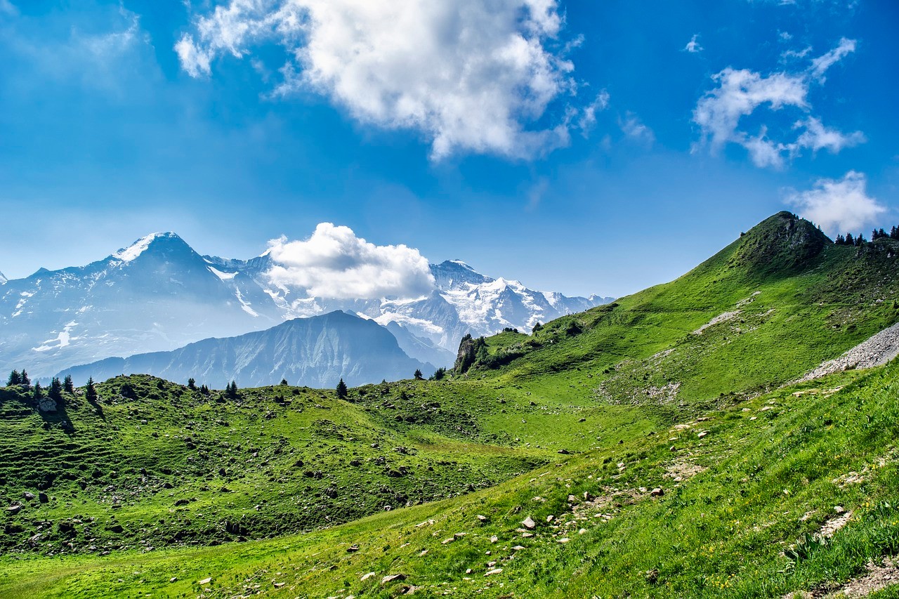 Paysage alpin avec des montagnes enneigées en arrière-plan et une prairie verte sous un ciel bleu parsemé de nuages.