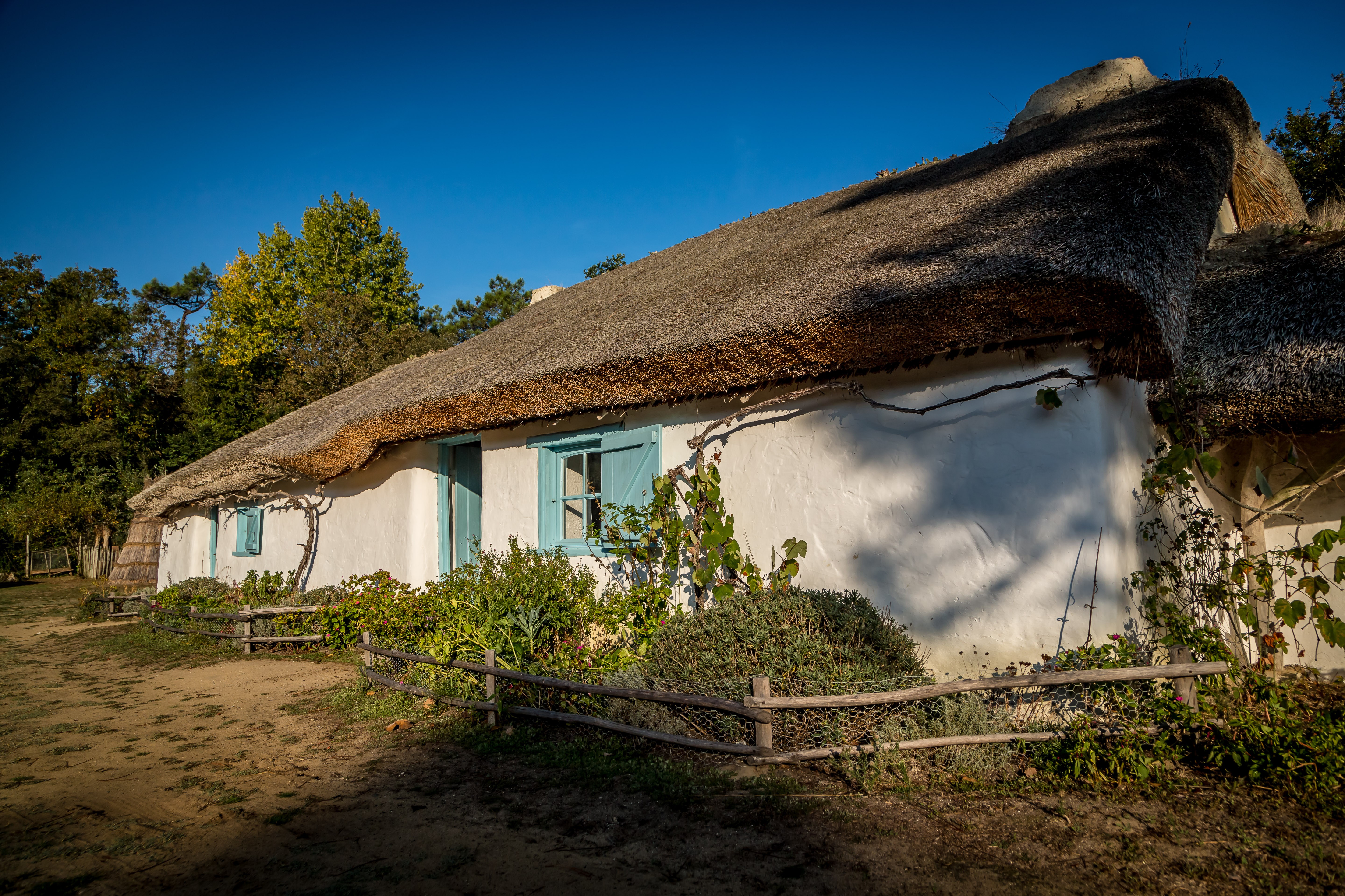Écomusée la Bourrine du Bois Juquaud fait de matériaux naturels