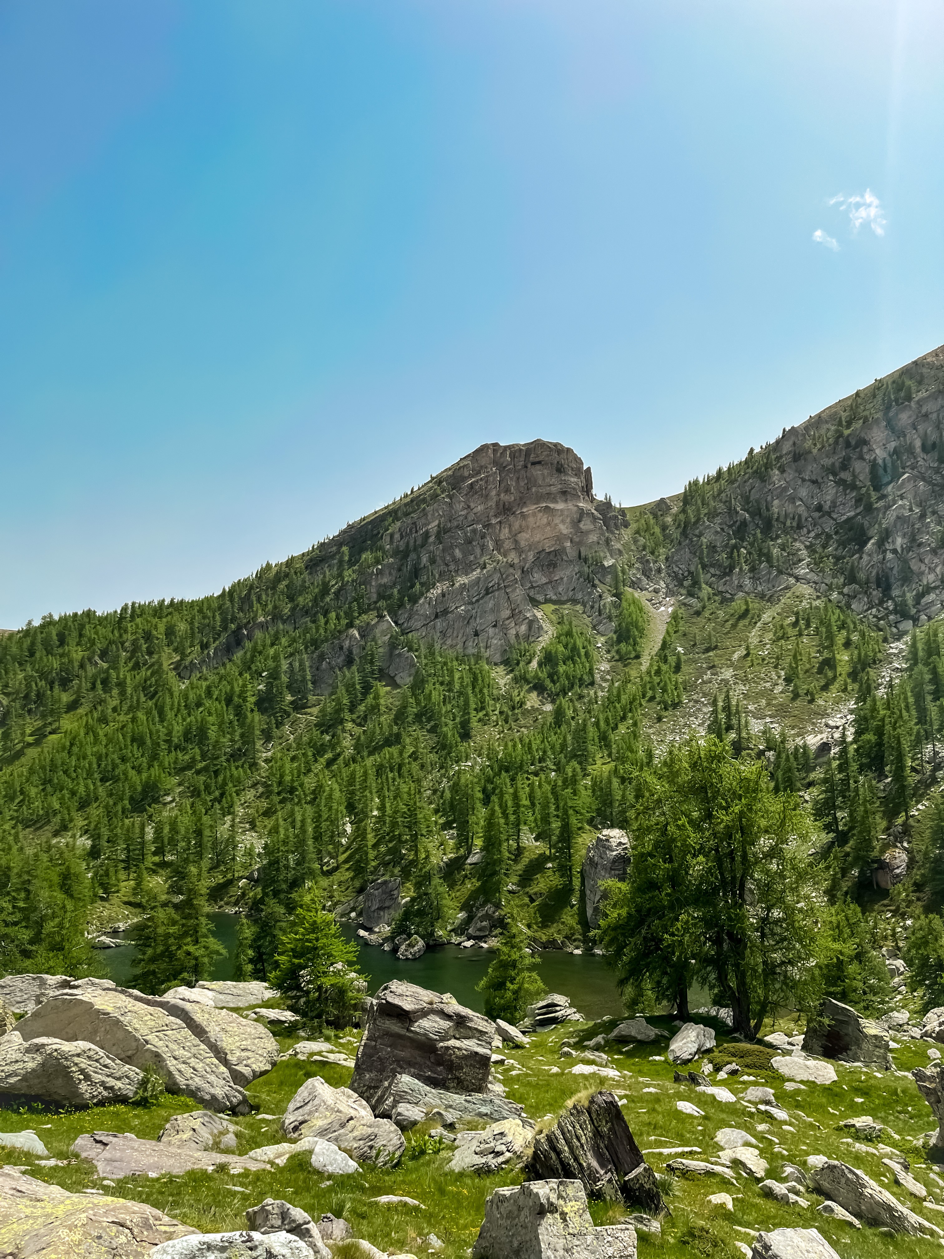 Vue sur un paysage de montagne en été à Fontanalbe dans la vallée des Merveilles, avec un lac de montagne entouré de mélèzes