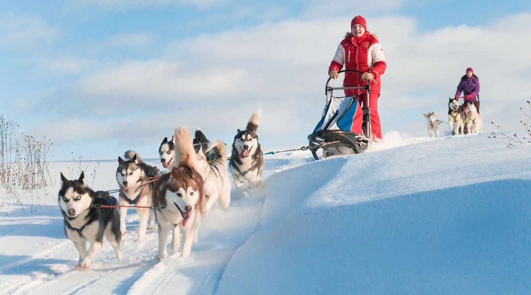 Balade en chiens de traîneau dans un paysage enneigé avec un musher guidant la meute