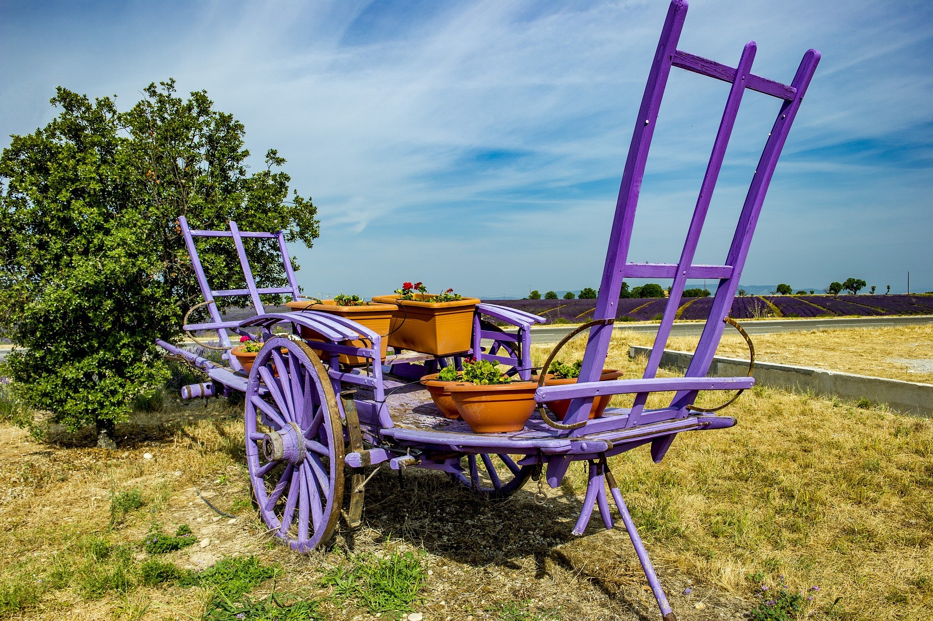 Charrette aux couleurs de la lavande située sur le plateau de Valensole, avec un champ de lavande en arrière-plan et un ciel voilé
