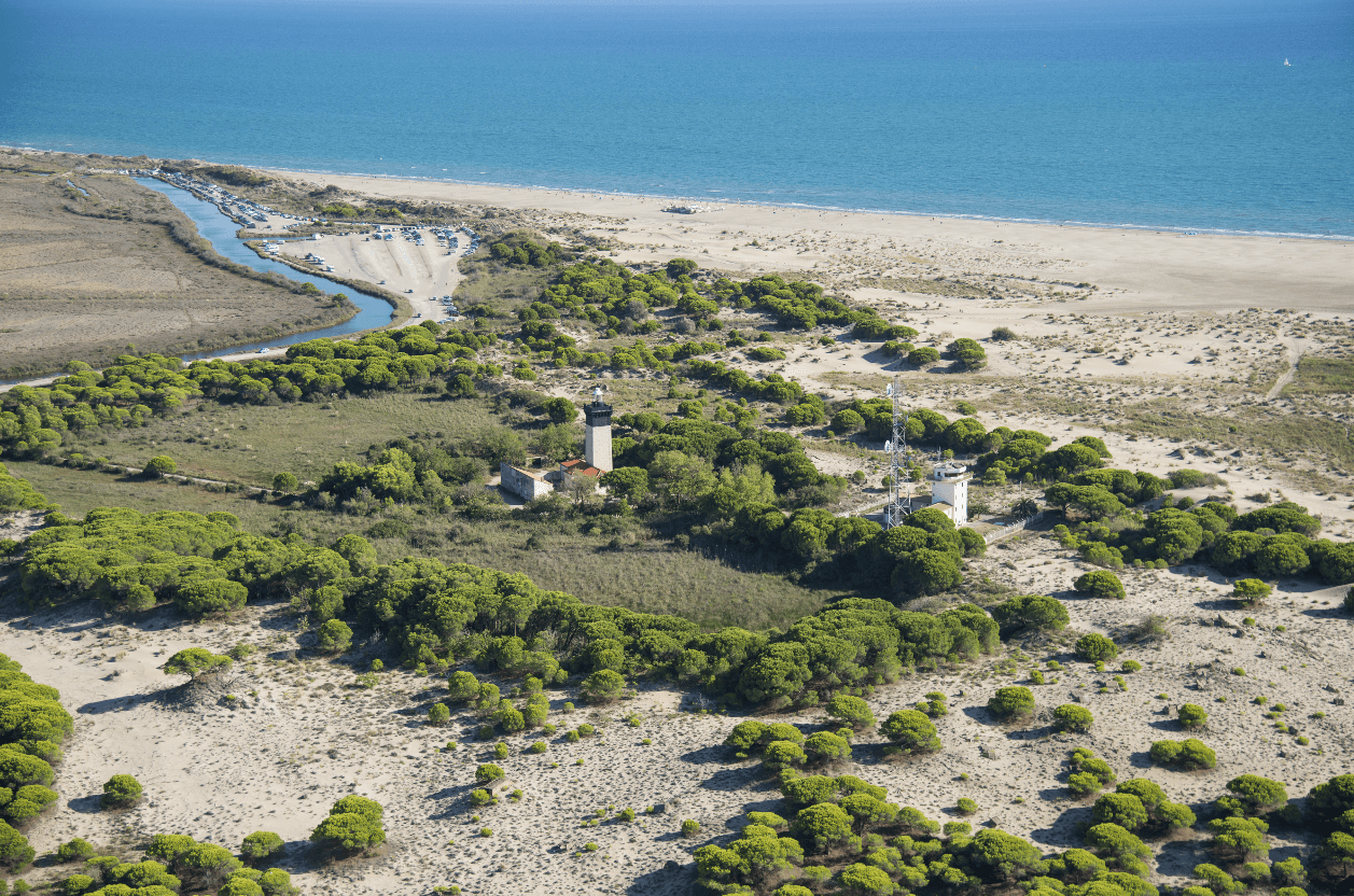 Vue aérienne de la plage et du phare de l’Espiguette du Grau du Roi - Port camargue, les dunes et la plage en méditerranée