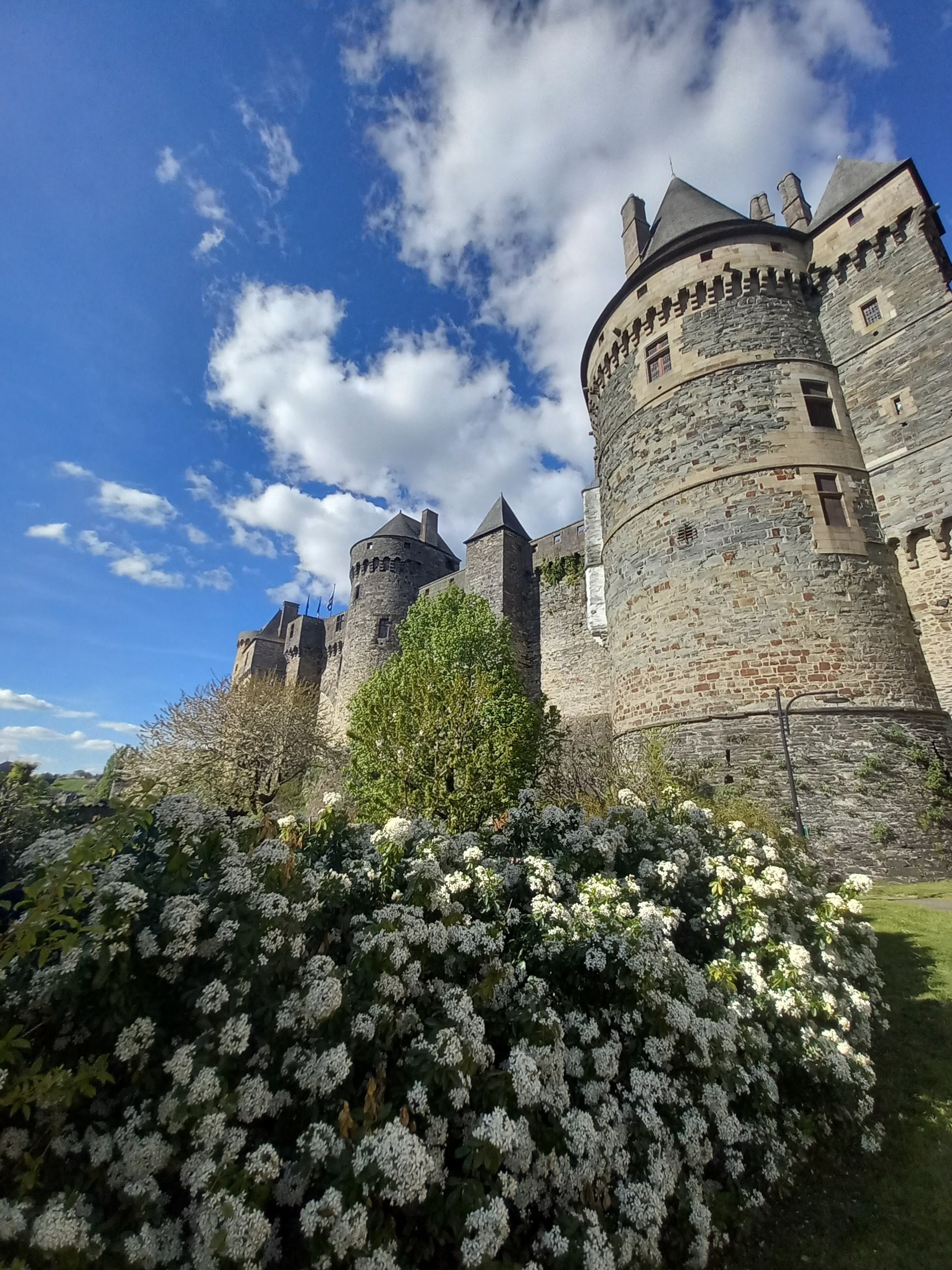 Château de Vitré vu depuis le Square Hirou avec un buisson de fleurs blanches au premier plan