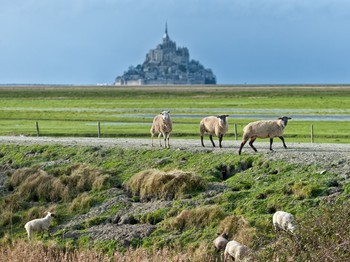 Le Mont-Saint-Michel et les prés salés
Crédits photos : CRTB LE-ROUGE-Marc