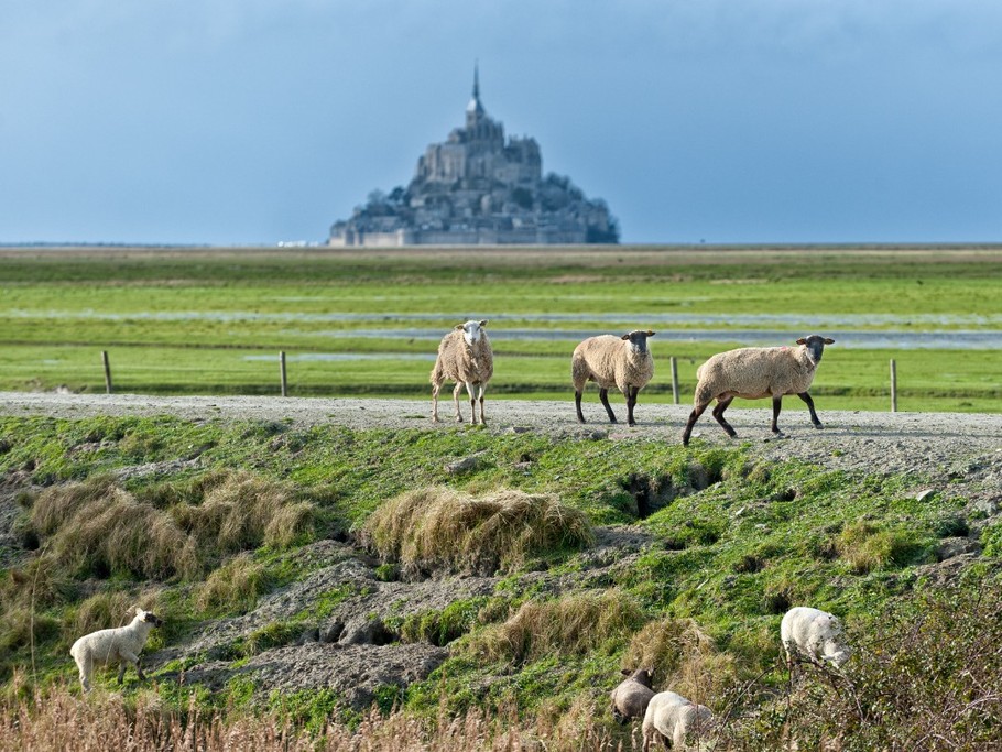 Le Mont-Saint-Michel et les prés salés
Crédits photos : CRTB LE-ROUGE-Marc