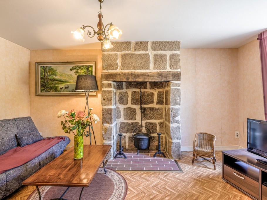 Salon avec sa cheminée décorative