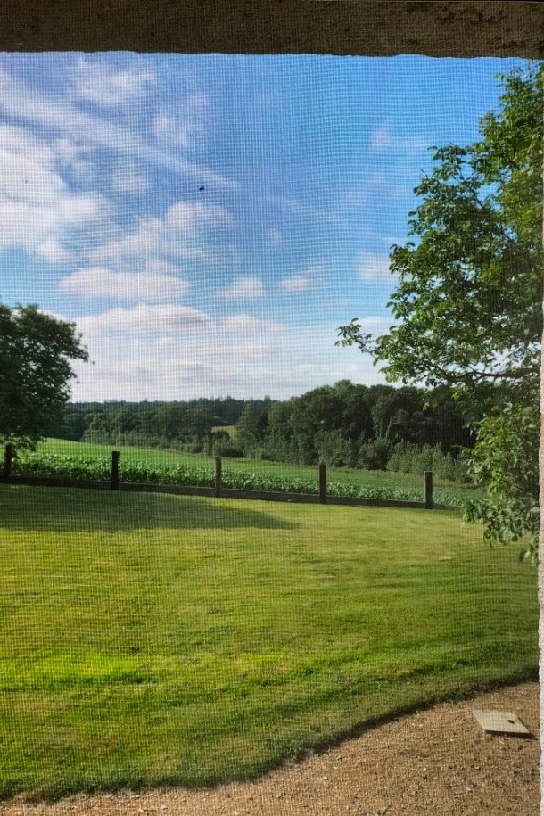 Photo n° 13 of the location