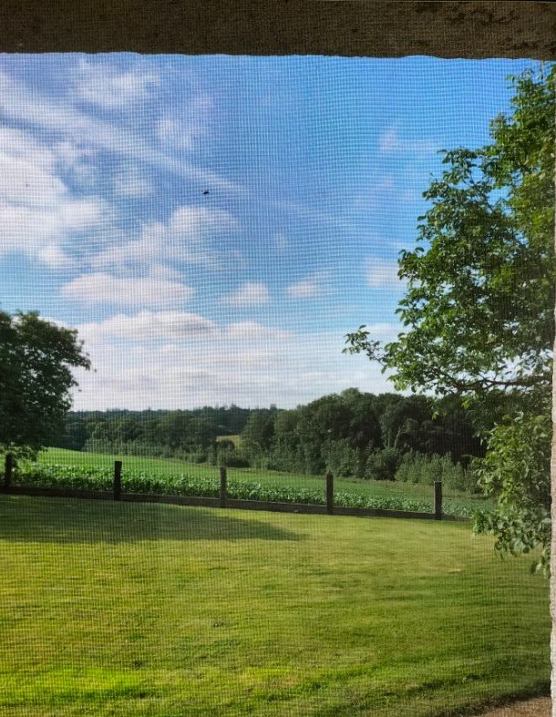 Photo n° 13 of the location