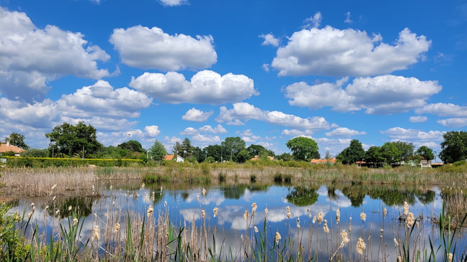 Marais bretons