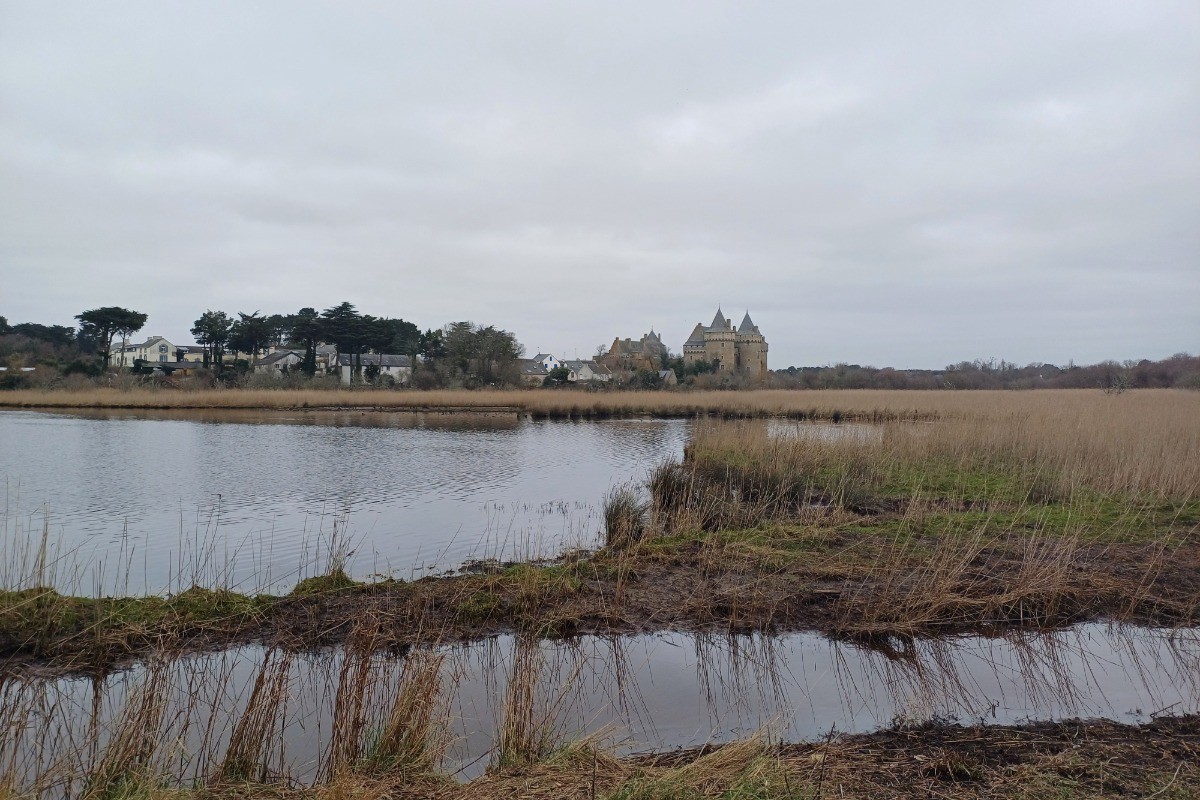 Zone protégée des salines à côté du château de Suscinio