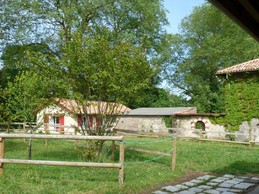 L''environnement de la maison