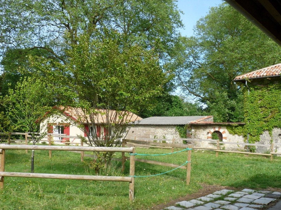L''environnement de la maison