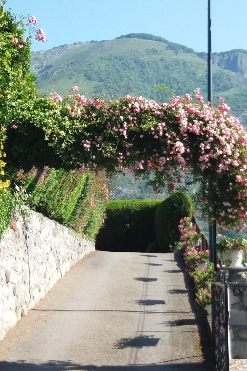 Entrée
